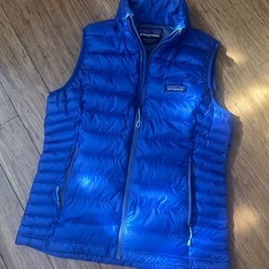 Patagonia Blue Puffer Vest